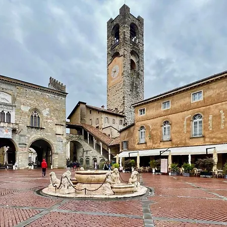 Clorofilla * Bergamo