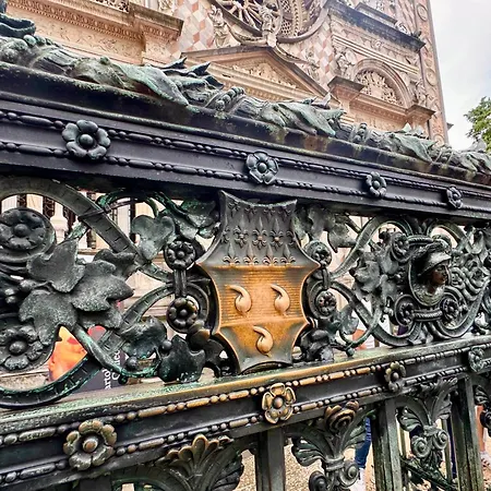 Clorofilla * Bergamo
